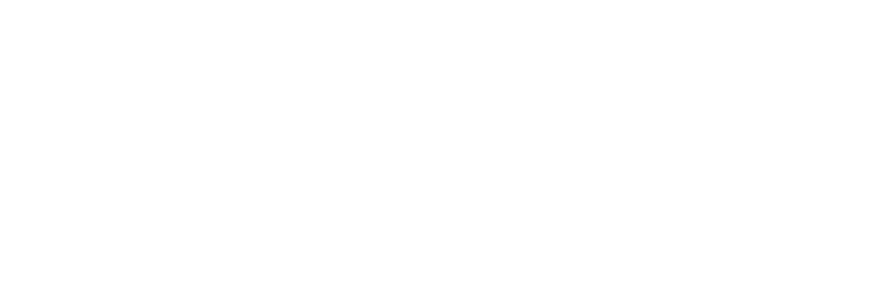 DIGITVNET Logo